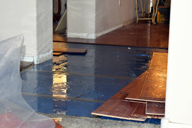Professional Flood Damage Restoration technician working in Julian, CA